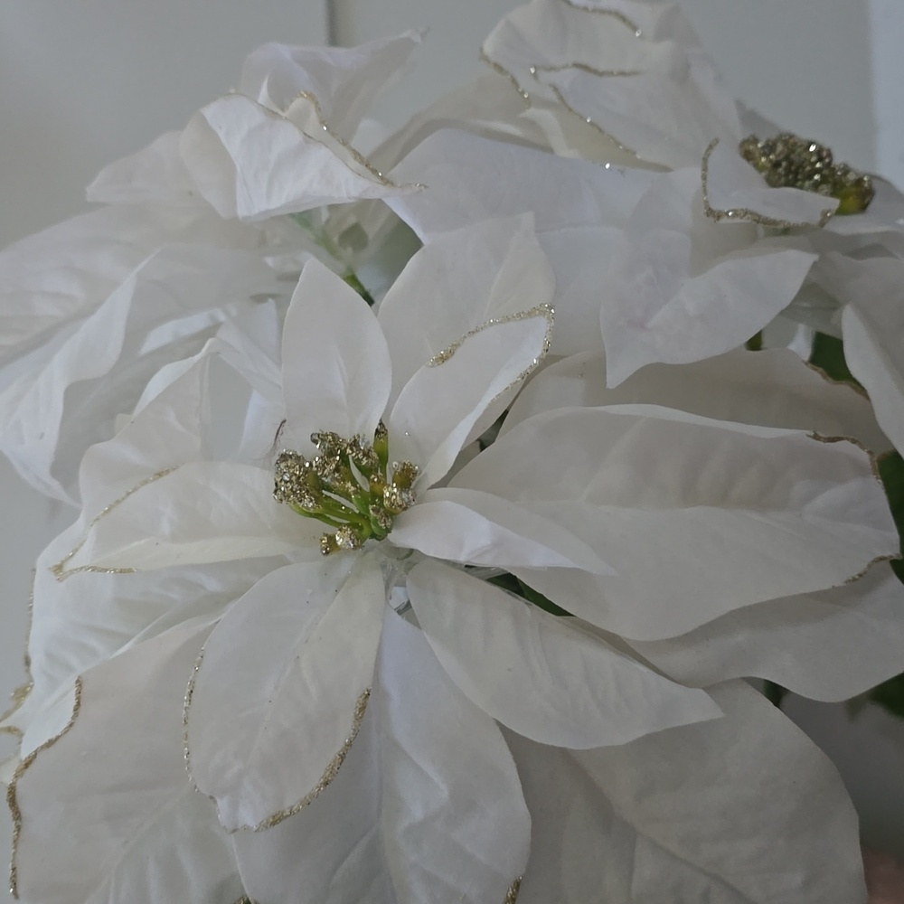 NWT White Artificial Poinsettia Flowers w/ Gold Glitter Trimming Set Of 5